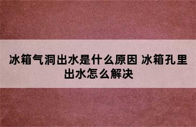 冰箱气洞出水是什么原因 冰箱孔里出水怎么解决